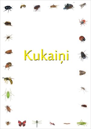Kukaiņi – valodas materiāls
