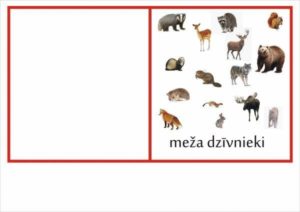 Meža dzīvnieki – definīciju grāmatiņa
