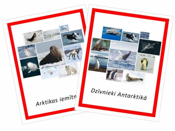 Komplekts – Arktikas iemītnieki + Dzīvnieki Antarktikā