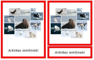 Arktikas iemītnieki