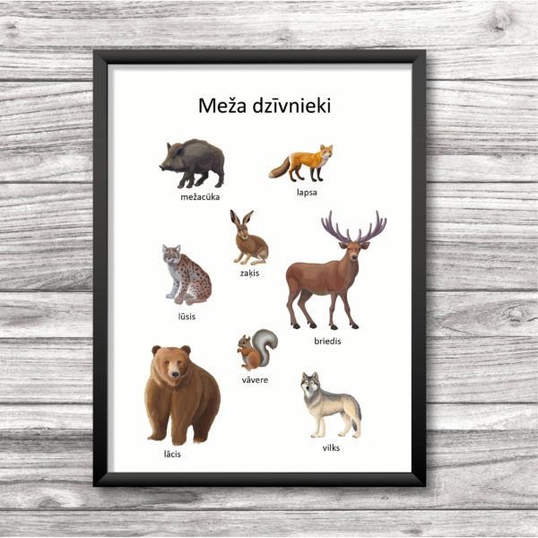 Meža dzīvnieku plakāts