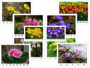 Puzle – Pavasara ziedi – skaitļu kombinācijas – PAVASARIS
