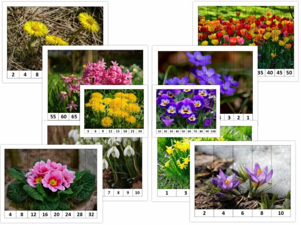 Puzle – Pavasara ziedi – skaitļu kombinācijas – PAVASARIS