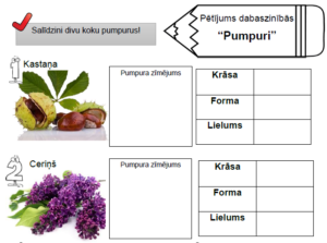 Pētījums dabaszinībās “Pumpuri”