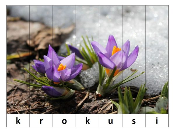 Puzle – Pavasara ziedi – saliec vārdu