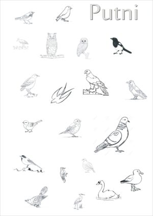 Putni – darba lapas + krāsojamās lapas
