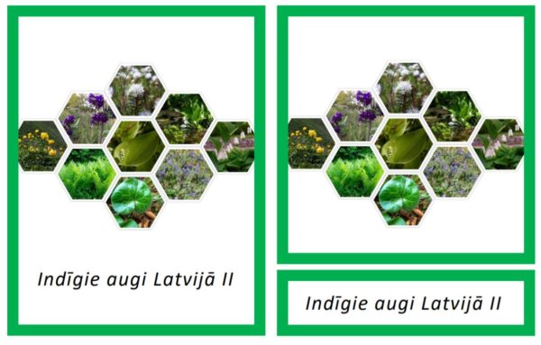 Komplekts – Indīgie augi Latvijā I + II
