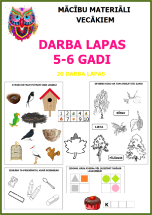DARBA LAPAS 5-6 GADI