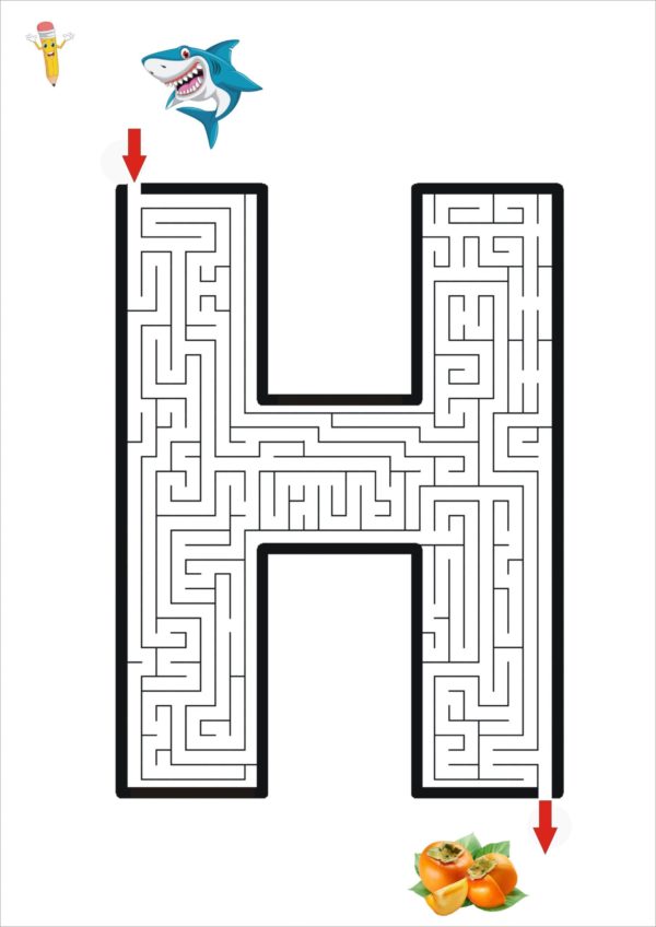 Labirinti