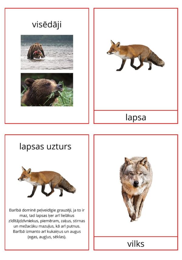 Latvijas savvaļas dzīvnieku barība + krāsojamās lapas