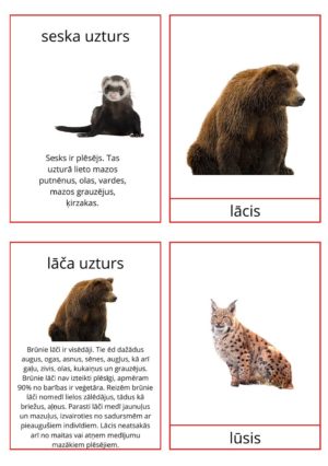 Latvijas savvaļas dzīvnieku barība + krāsojamās lapas