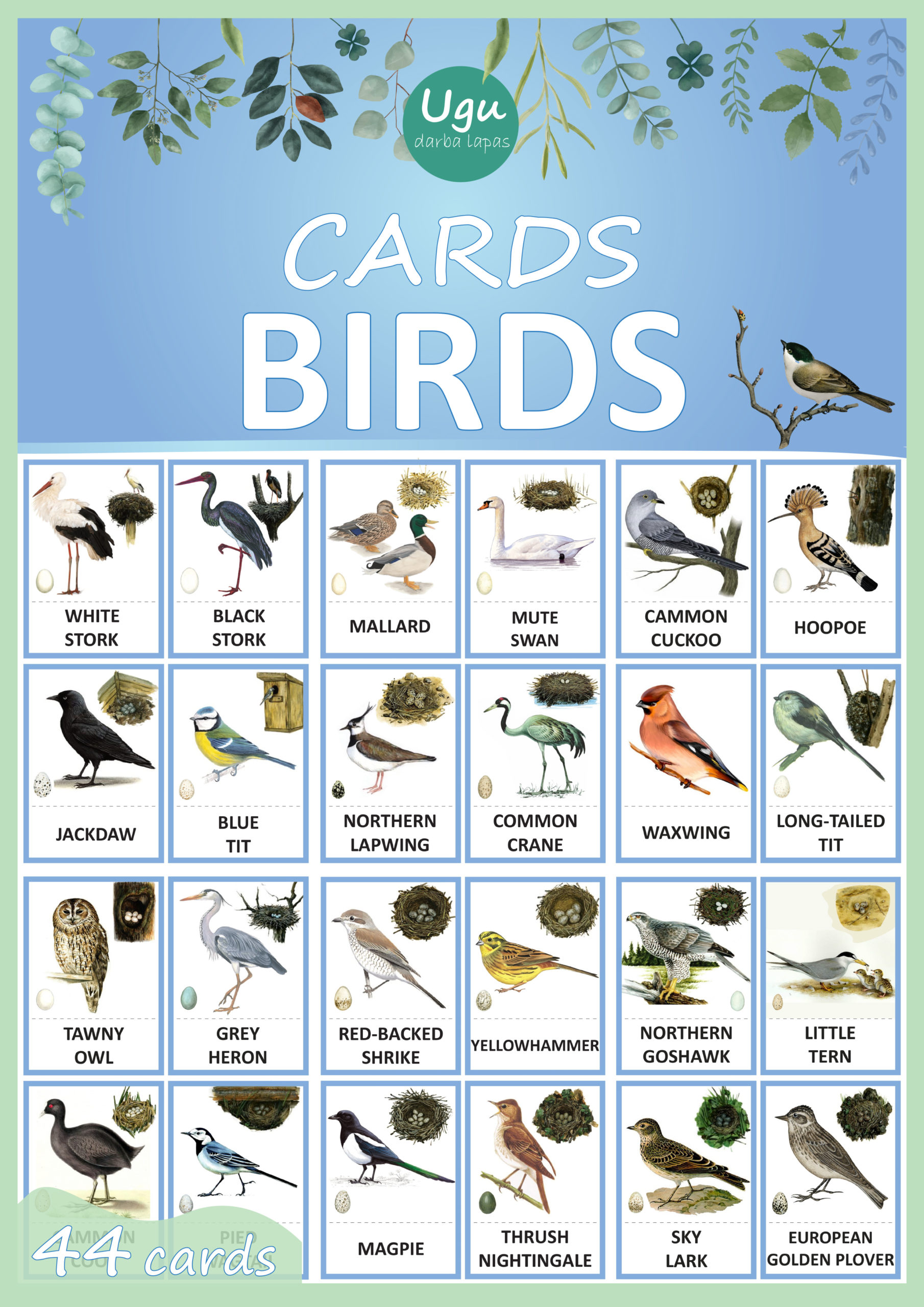 CARDS «BIRDS» (angļu valodā)