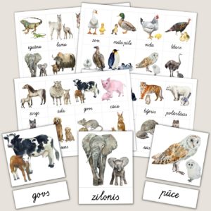 Dzīvnieku un mazuļu kartītes