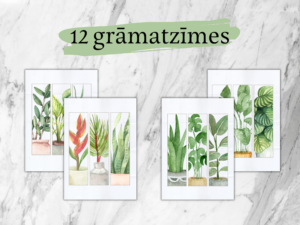 12 grāmatzīmes ar mājas augiem