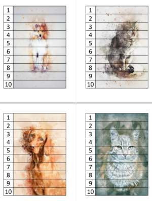 Saliekamattēli (kaķi un suņi) – skaitļi