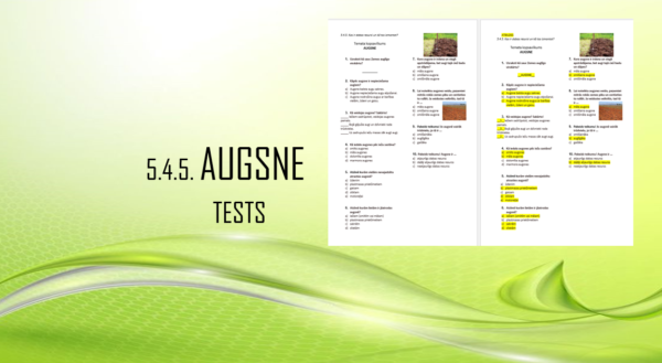 5.4.5. AUGSNE_Tests