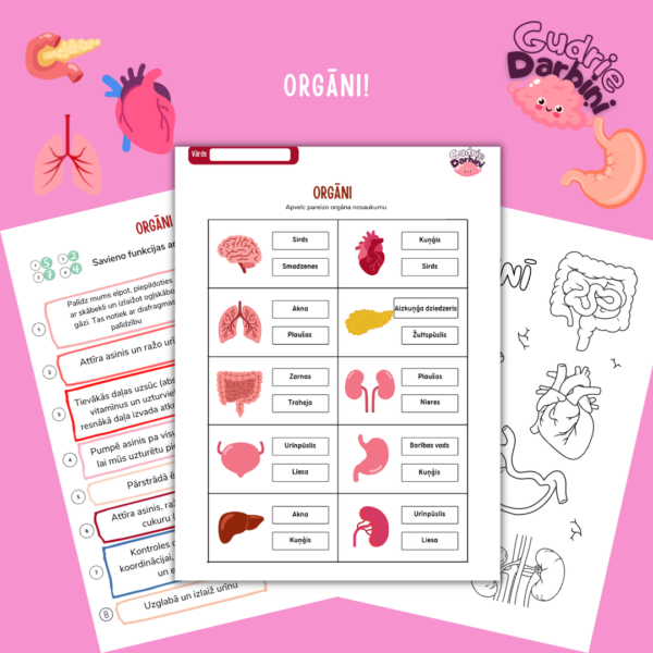 Orgāni- lasi, mācies, raksti, krāso Orgāni- lasi, mācies, raksti, krāso