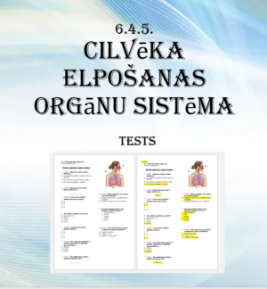 6.4.5. Cilvēka elpošanas orgānu sistēma _ Tests