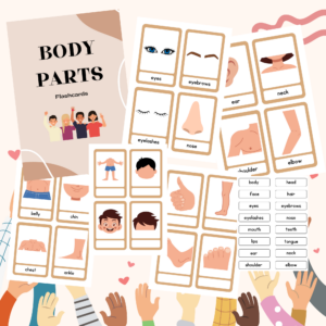 Angļu valoda, kartītes – ķermeņa daļas (body parts)
