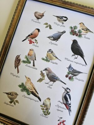 Meža putnu plakāts ar uzdevumu