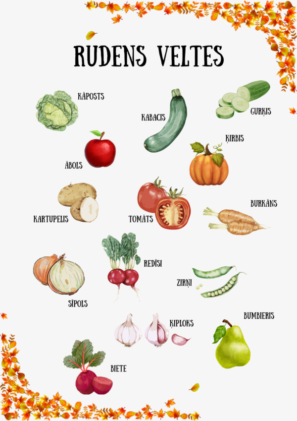Rudens dārzeņi un augļi (plakāts, uzdevumi)