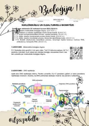 Darba lapu komplekts BIOLOĢIJA II – Olbaltumvielu biosintēze