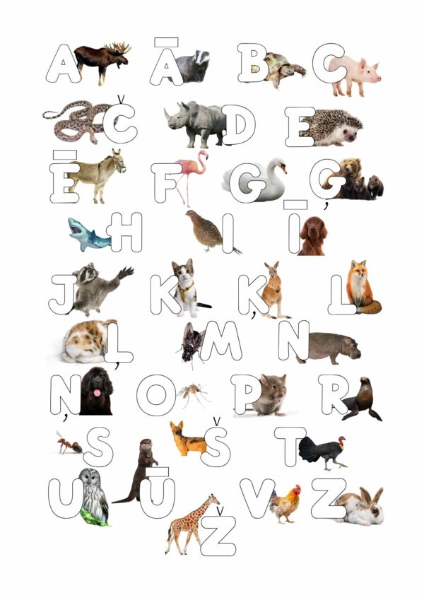 Dzīvnieku alfabēts & kartiņas