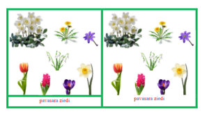 Pavasara ziedi- Montesori kartītes