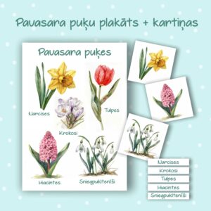 Pavasara puķu plakāts + kartiņas
