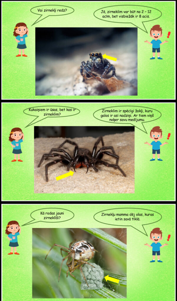 Prezentācija “Kāpēc zirneklis nav kukainis”?