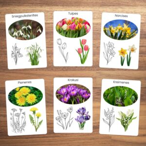 Pavasara ziedi – 10 kartītes