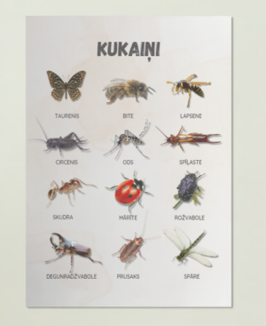 Kukaiņi – plakāts
