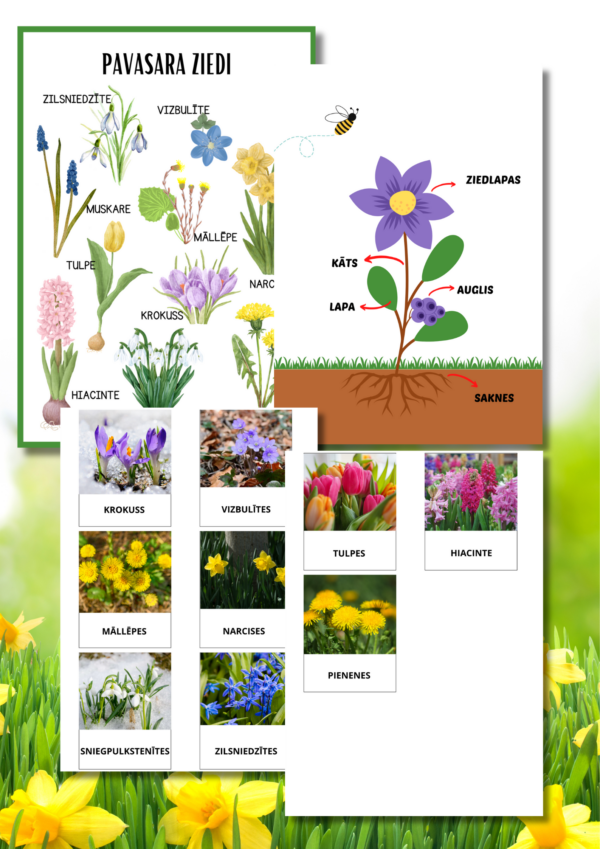 Pavasara ziedi – plakāti, kartītes