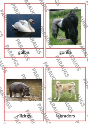 Dzīvnieku grupēšana
