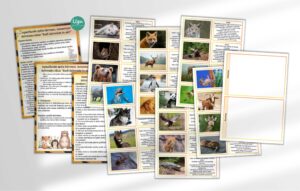 Iepazīšanās spēle – Kurš dzīvnieks Tu esi? Zinību diena.