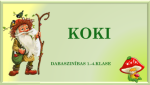 “Koki”- viktorīna- 1.-4.klase