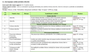 Tematiskais plānojums 6.klasei matemātikā