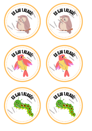 Medaļas “ES EJU 1. KLASĒ!”