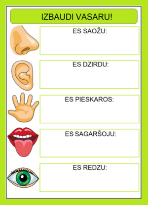 5 MAŅAS VISOS GADALAIKOS