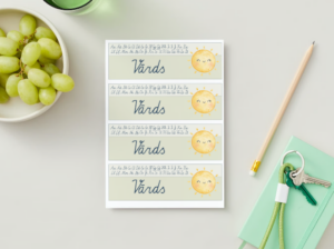 Vārdu kartītes – saule