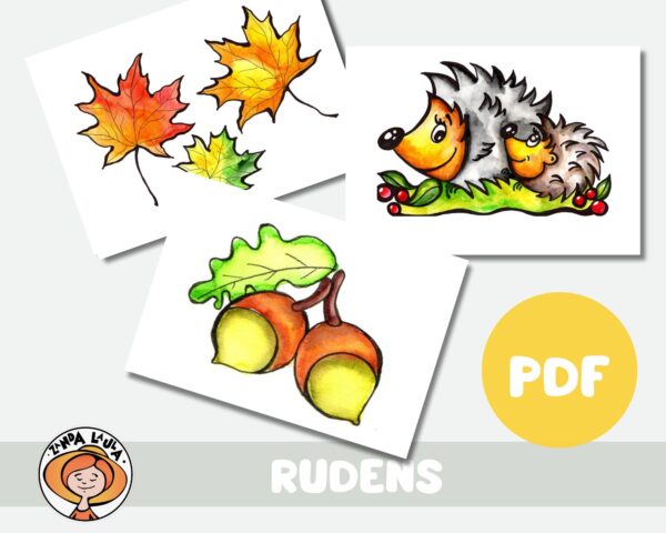 Rudens M c bu Materi li