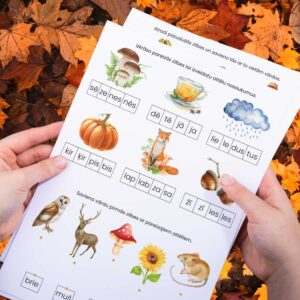 Rudens zilbes – darba lapas