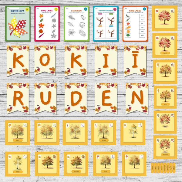 Materiāla komplekts “KOKI RUDENĪ” Materiāla komplekts “KOKI RUDENĪ”