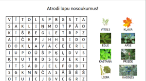 Koku lapas