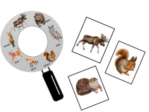 ”Mazais pētnieks”