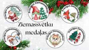 Ziemassvētku medaļas