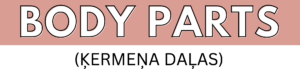 Ķermeņa daļas (body parts)