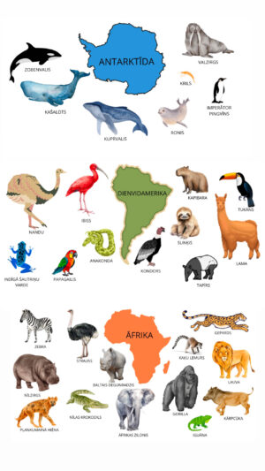 Kontinenti – atgādnes