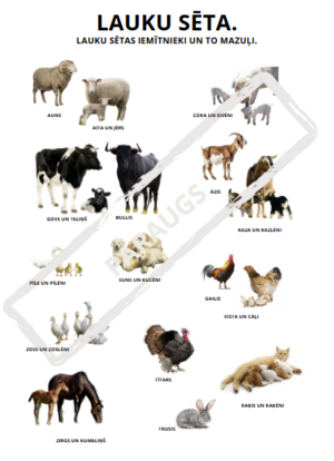 Plakāts A3 Lauku sēta