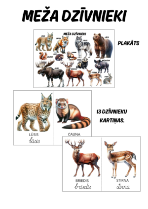 Meža dzīvnieki.